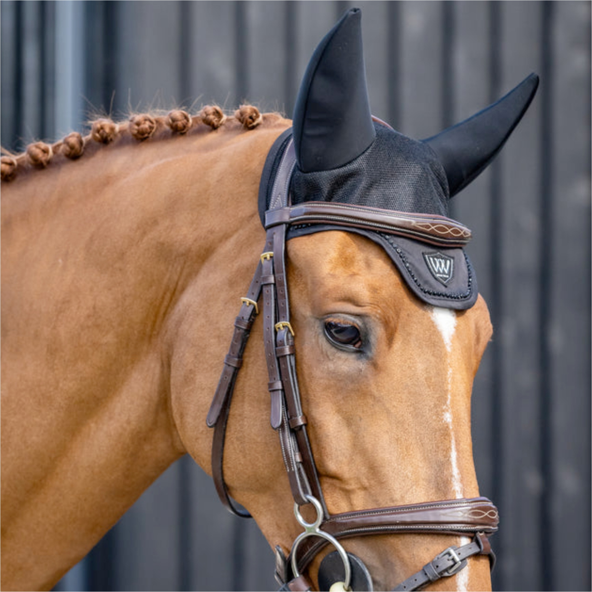 2026 Woof Wear Noise Cancelling Crystal Fly Veil WS0045-BKBK - Black